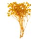 thumbnail image 2 of Flor Seca Macarena Decoración Navideña Estilo Rústico Amarillo, 2 of 8