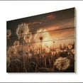 thumbnail image 2 of Designart "Sunset Dandelion landscape III" Floral Print on Natural Pine Wood, 2 of 5