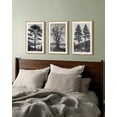 thumbnail image 6 of SHENIFY Vintage Tree Wall Art 16x24in3pcs Natural Framed Black and White Retro Antique Forest Drawings Nature Wilderness Sketch Wall Painting Modern Bedroom Decor, 6 of 7