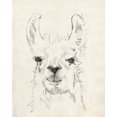 thumbnail image 2 of Goldberger, Jennifer 26x32 Black Ornate Wood Framed with Double Matting Museum Art Print Titled - Llama Portrait I, 2 of 4
