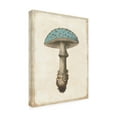 thumbnail image 2 of Trademark Fine Art 'Funghi Velenosi Blue Green' Canvas Art by Wild Apple Portfolio, 2 of 3