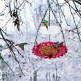thumbnail image 6 of SNYNUXX Durable Platform Bird Feeder with Rust-Proof Chains, Red, 6 of 7