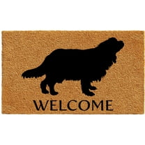 Calloway Mills Cavalier King Charles Spaniel Outdoor Doormat 24" x 36"