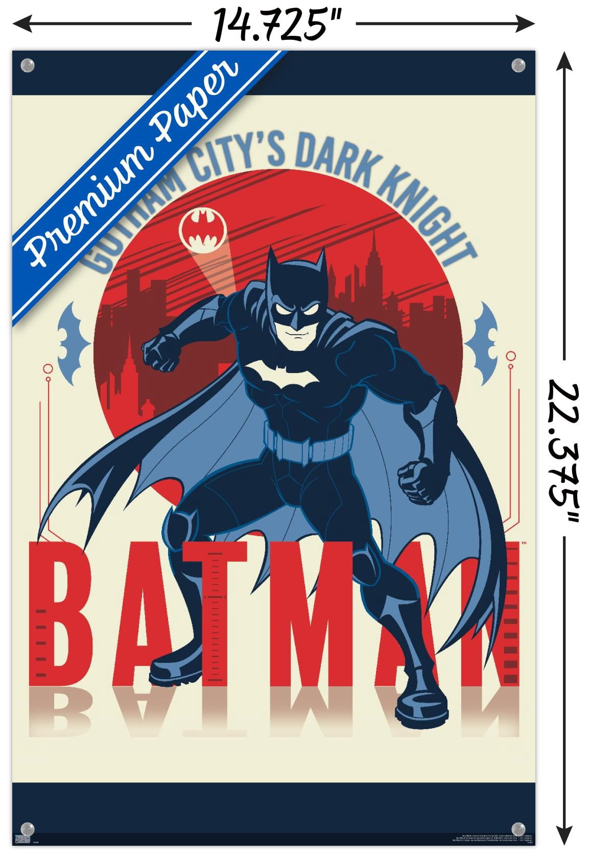 DC Comics Batman - Gotham City's Dark Knight Wall Poster with Pushpins, 14.725" x 22.375"