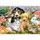thumbnail image 1 of Taladro Diamante Pintura (DE2764) 5D DIY Animales lindos completos Bordado de punto de cruz (8) 30x40cm FLhrweasw Nuevo, 1 of 1