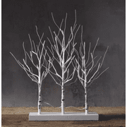 Featuring a trio of miniature, lifelike birch tree