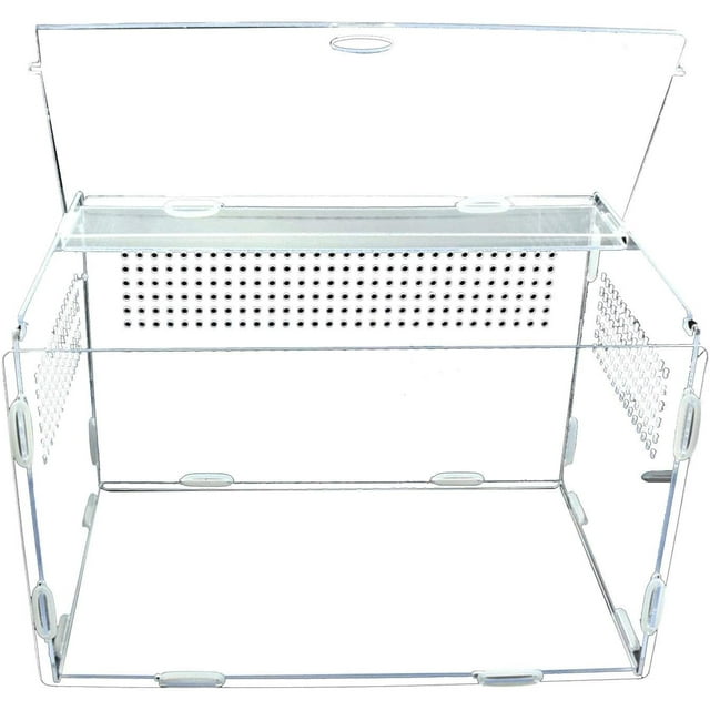 tamizeot Terrarium Transparent pour Tortue, Sûr et Non Toxique, Adapté à Diverses Occasions