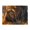 1000 Pieces, variant on 500-Piece Wooden Jigsaw Puzzle for Adults & Families - Lion Under Tree In Autumn , Fun & Educational Brain-Teasing Game, Artistic Home Decor