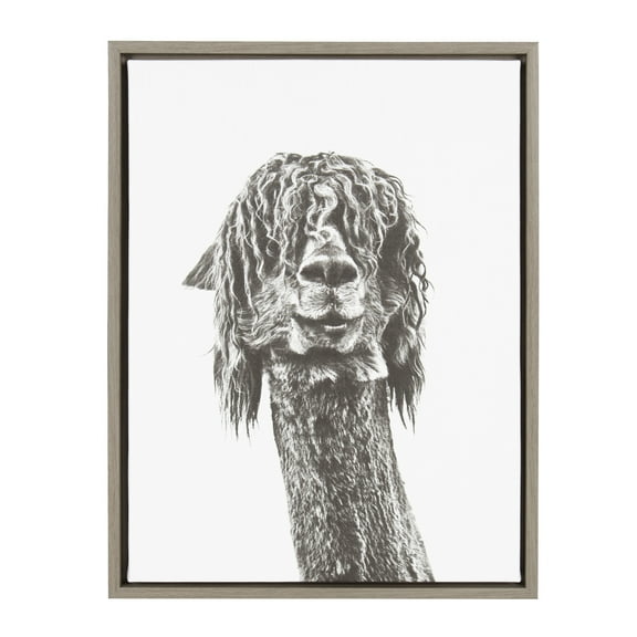 Kate and Laurel Sylvie Curly Hair Alpaca Portrait Framed Canvas Wall Art by Simon Te Tai, 18x24 Gray