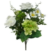 Better Homes&gardens Green Mixed Rose Bush