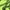 Green, variant on Little/Big Boys Running Sneakers Lightweight Slip on Tennis Shoes