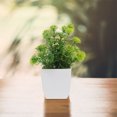 thumbnail image 1 of unbranded 2Ud Plantas Artificiales Decorativas Resistentes A Decoloración Para Ambientar Cualquier Habitación, 1 of 8