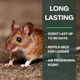 thumbnail image 4 of LAKOTA NATURALS Mouse Repellent Pouches, Extra Strength 60% Oil, Repel Mice Rodent from Nesting in Car/Boat/RV/Grill/Pool Heaters/Campers, Deterrent for House/Garage, 10 Herbal Mint Scent Pouches, 4 of 8