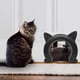 thumbnail image 2 of Puerta interior para gatos-22.5*27*5.5cm Negro- Puerta interior para gatos - Puertas para mascotas Rojo Verde Cocina, Decoración y Otros, 2 of 4