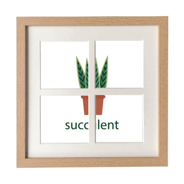 Plantas en macetas de cactus suculentas Verde Pantalla de escritorio de pared de marco 4 aperturas