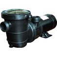 thumbnail image 1 of Energy Efficient 2 Speed Pump for Above-Ground Swimming Pool 1 HP-115V, 1 of 5