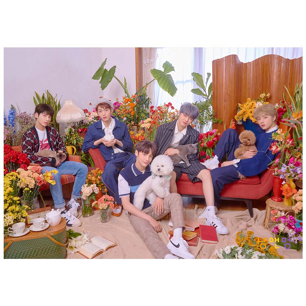 cyan oak kpop txt tomorrow x together poster sticker cat dog wall hanging photo paintings walmart com