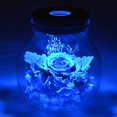 thumbnail image 4 of Regalo Navideño Para Mujeres: Rosas Frescas Con Luces De Colores De Colores, Botella De Deseos Blanca, 4 of 5