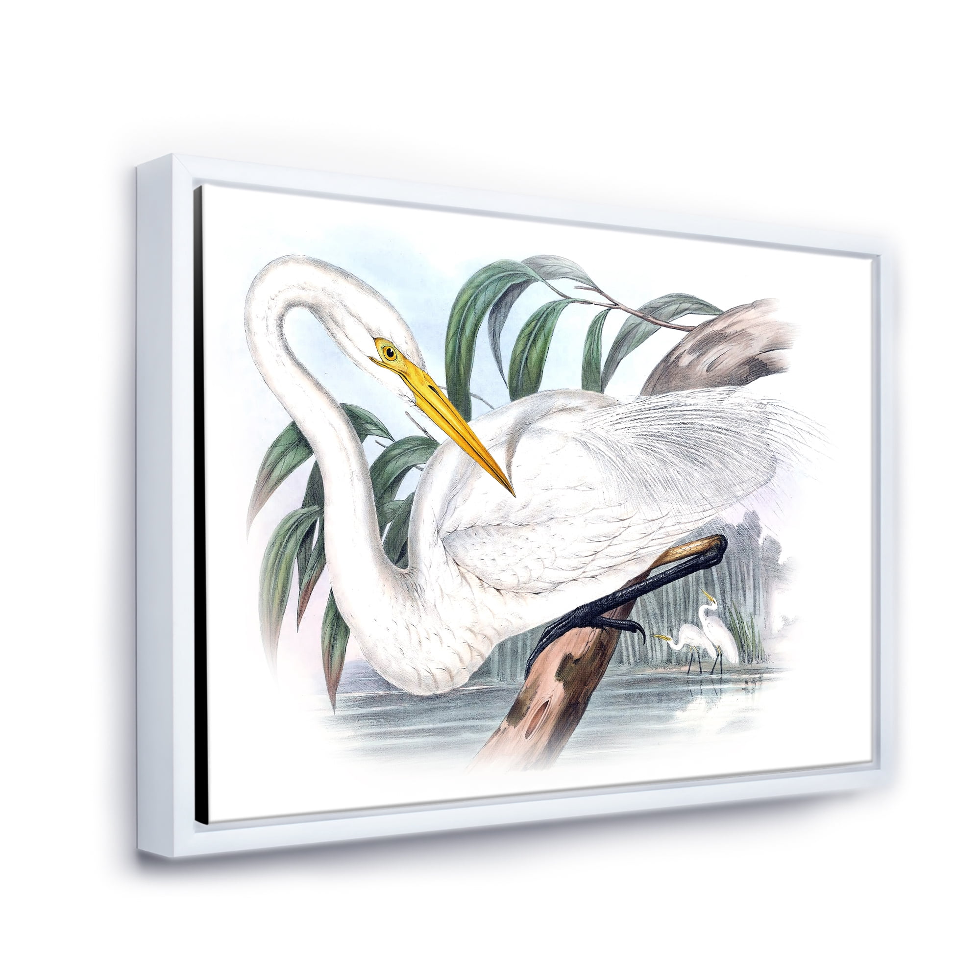 Designart 'Ancient Australian Birds IV' Traditional Framed Canvas Wall Art Print