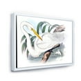 thumbnail image 3 of Ancient Australian Birds IV 24 in x 32 in Framed Painting Canvas Art Print, by Designart, 3 of 5