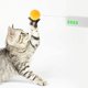 thumbnail image 4 of 7037 Artículos para mascotas para gatos - Verde Ormromra 220448-3, 4 of 9