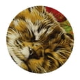 thumbnail image 2 of JEUXUS Fall Leaf Cat Round Tablecloth with Elastic Edge Fitted Waterproof Table Cover Cat Table Cloths Modern Tables Decoration for Dining Table,Picnic,Party (S) White, 2 of 7