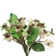 thumbnail image 4 of Plantas artificiales falsas, flores de simulación, ramo de frutas Blanco, 4 of 9