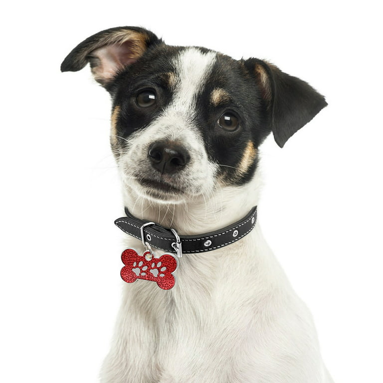 CELLPAK Medium Size Pet Collar With Rhinestone Diamond Shiny Diamante Pet  Dog Puppy Cat Kitten Necklace Black