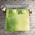 thumbnail image 2 of Ambesonne Spa Themed Quilted Coverlet 3 Pcs, Green Trees in Exotics, King Size, Pale Green and Green, 2 of 2