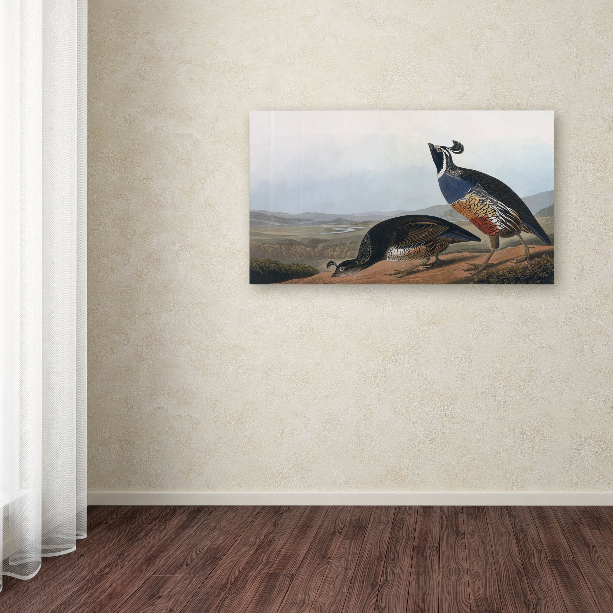 Trademark Fine Art "Californian Partridge" Canvas Art by John James Audubon