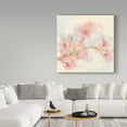 thumbnail image 3 of Trademark Fine Art 'Pink Blossoms II' Canvas Art by Chris Paschke, 3 of 3