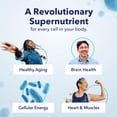 thumbnail image 4 of TRU NIAGEN Patented NAD Supplement for Anti Aging and Cell Regeneration, 300 mg Niagen, 90 Servings | Supports Cellular Energy, Brain, Muscle | Nicotinamide Riboside (NR) Take 1 Daily | 1 Bottle, 4 of 8