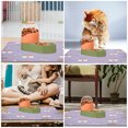 thumbnail image 4 of LIFKOME Bowl Feeding Mat Cat Food Mat Diatomite 1 Set, 4 of 8