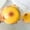 Large A5, variant on Potato Squishies Toys – Soft but Firm Squeeze Toys for Adults – Realistic Fake Food Stress Ball, a Funny Gift Idea for Home or Office