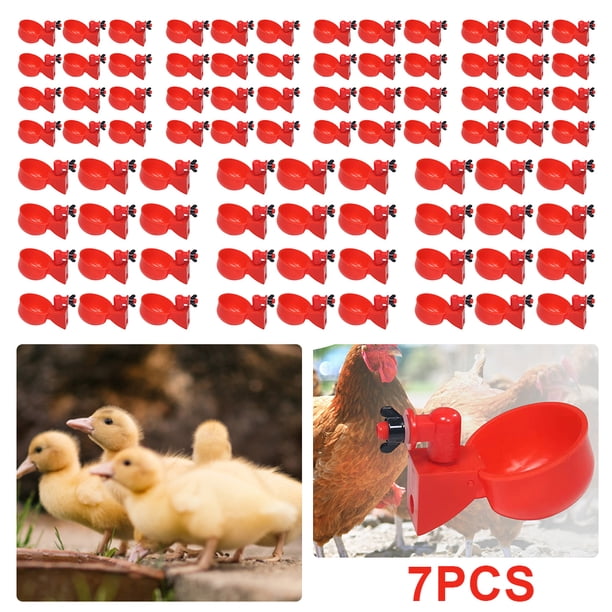 Bebedero para Patos Y 12 Uds. Dispensador Pollo Herramientas Suministros Alimentación