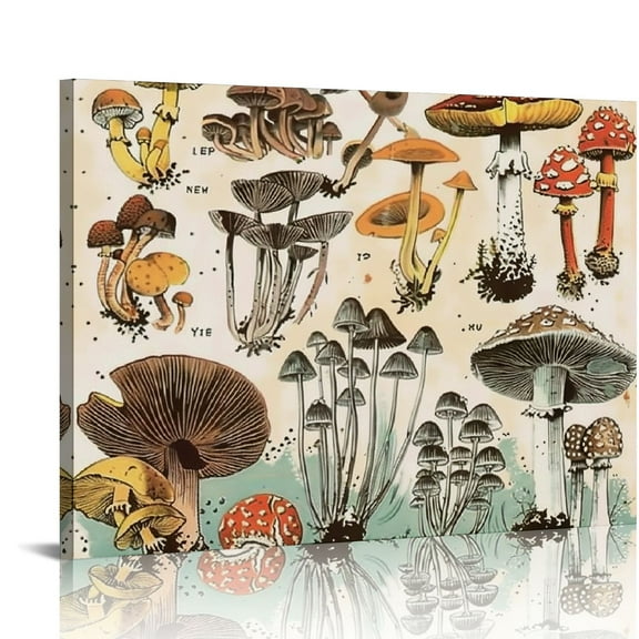 YILUYINQING Modern Mushroom Canvas Wall Art Decor For Home 16x12in