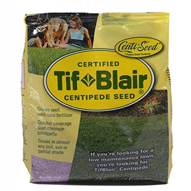Tifblair Centipede Grass Seed (1 Lb.) Direct From the Farm Walmart