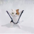 thumbnail image 4 of Enchanting Coquettish Cat Pen Holder - Cat Lifted the Coffin Dancing Pen Holder Soporte para teléfono móvil (Juego de 5) oso de fresa Juguete, 4 of 6