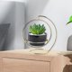 thumbnail image 3 of Macetas modernas kusrkot con soporte de hierro mini maceta de cactus decoración interior F negro, 3 of 8