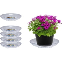 Curtis Wagner Plastics DS-600 Carpet Saver Plant Tray Drip Pans (5-Pack) - Clear, Round (Diameter = 6" top, 4" Bottom, 1.5" Depth) Thick Plastic Indoor & Garden - Clear, Black & Terracotta