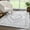 Gray, Light Gray, White / Alya, variant on Hauteloom Alya Living Room, Bedroom Area Rug - Bohemian, Transitional - High Pile - Gray, Light Gray, White - 7'10" x 10'