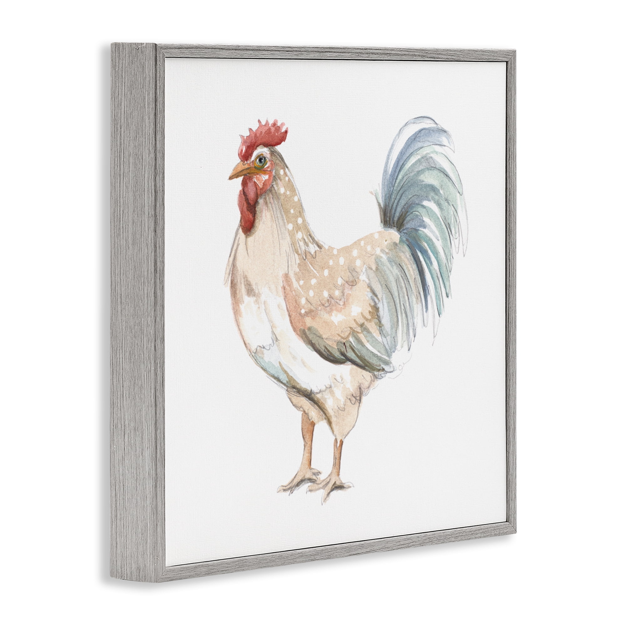 Stupell Industries Watercolor Rooster Sketch Gray Framed Giclee Art, design by Patricia Pinto