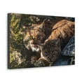 thumbnail image 2 of Wildcat Couple Wildcat Couple Print Animal Wall Art Wildlife Canvas Prints Wall Art Ready to Hang Unframed, 2 of 18