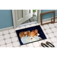 thumbnail image 4 of Carolines Treasures 7241JMAT Papillon Doormat 24x36 36"L x 24"W multicolor, 4 of 4