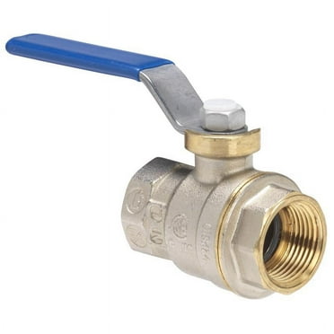 ProLine 1/4 In. FIP x 1/4 In. FIP Brass Ball Valve 107-001NL