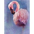 thumbnail image 3 of Campbell, Robert 11x14 Black Modern Framed Museum Art Print Titled - Pretty in Pink Flamingo, 3 of 5