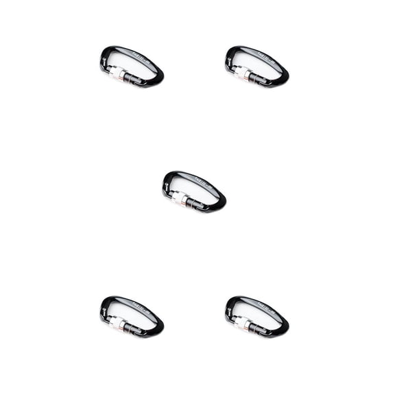 Naiovety Mosquetón seguro, accesorios de bloqueo profesional, hebilla protectora protectora en forma de D para protección del Negro+Plata 5piezas