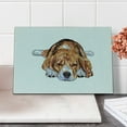 thumbnail image 2 of Beagle Cutting Board, Old Dog Resting Sleeping Tired Puppy Short Haired Purebred Sketch Art, Decorative Tempered Glass Cutting and Serving Board, Small Size, Pale Blue White Brown, by Ambesonne, 2 of 5