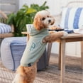 thumbnail image 4 of Gap Pet, Dog and Cat Clothes, Classic Logo Gap Pet Hoodie, Green, XS, 4 of 8