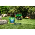 thumbnail image 4 of Scotts Grass Seed All Purpose Mix, 4 of 6